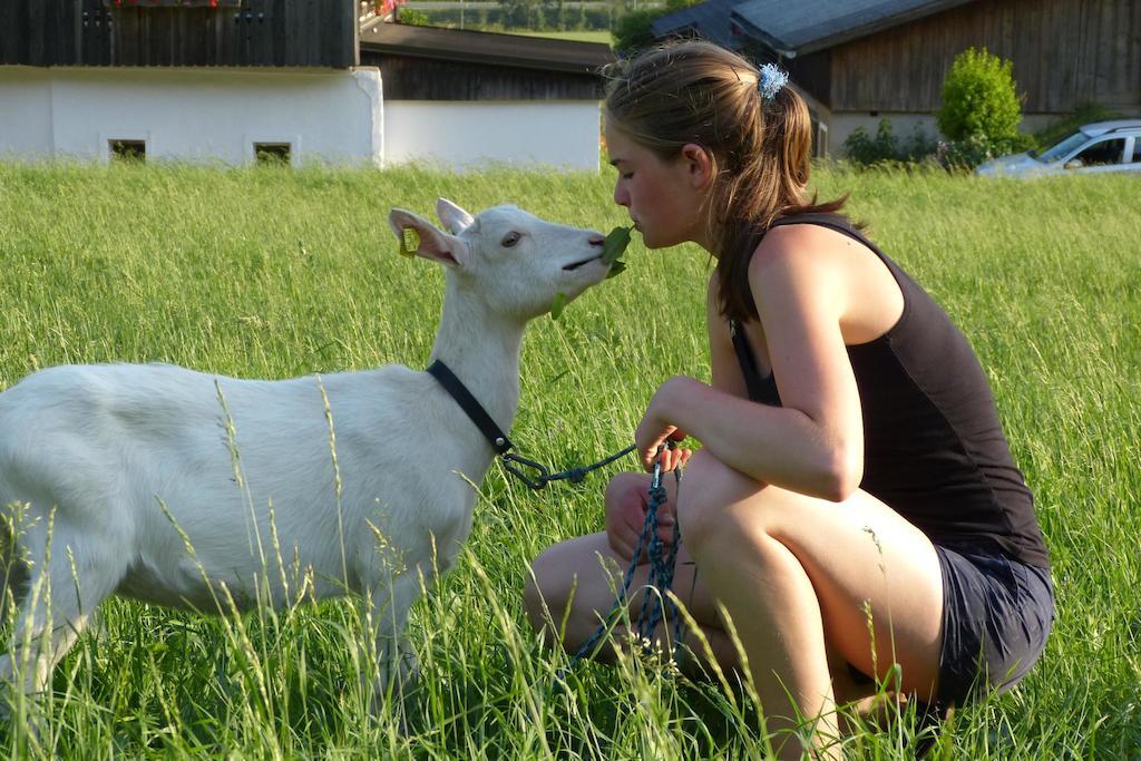 Ferienhaus Leeb Patergassen Buitenkant foto
